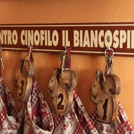 Villa Il Biancospino Casteggio Esterno foto