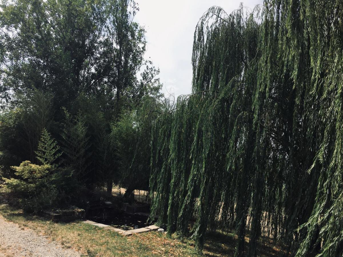Villa Il Biancospino Casteggio Esterno foto