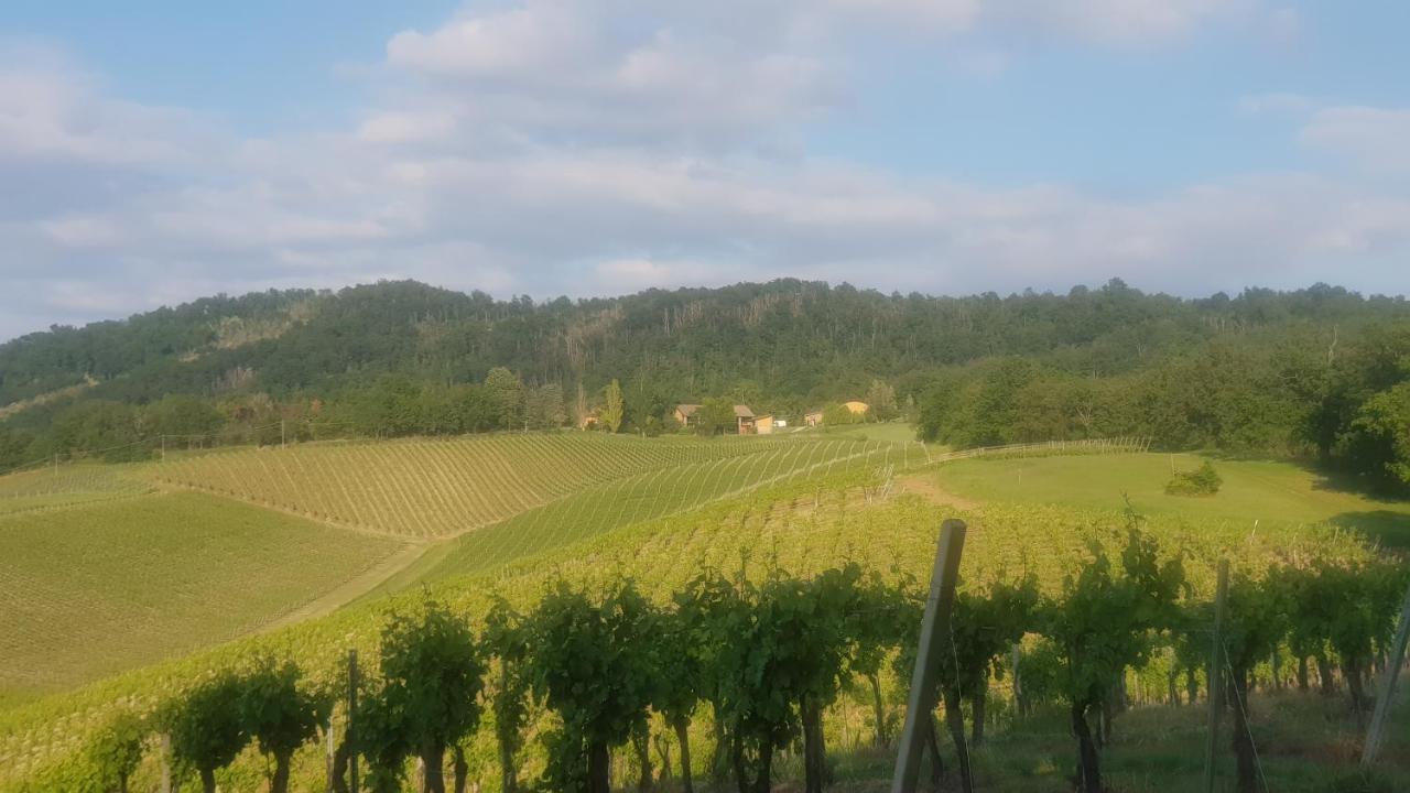 Villa Il Biancospino Casteggio Esterno foto