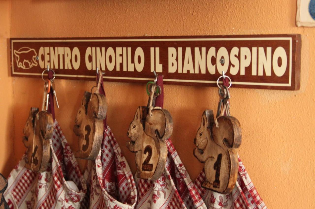 Villa Il Biancospino Casteggio Esterno foto